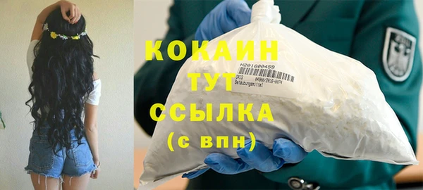 шишки Арсеньев