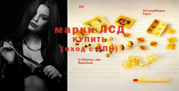 шишки Арсеньев