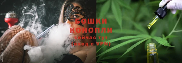 шишки Арсеньев