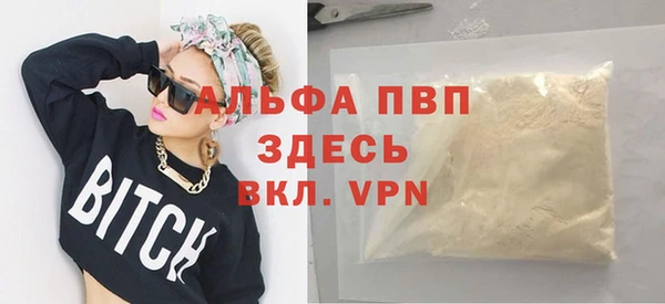 шишки Арсеньев