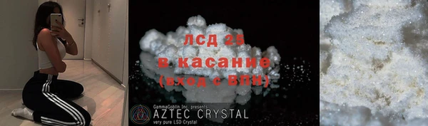 прущие грибы Алзамай