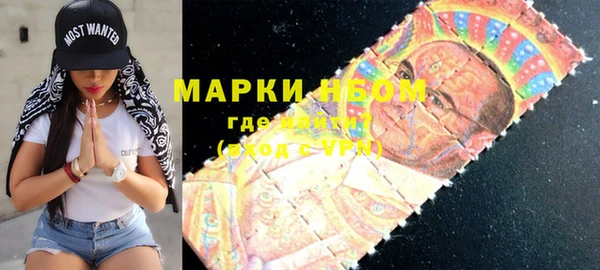 шишки Арсеньев