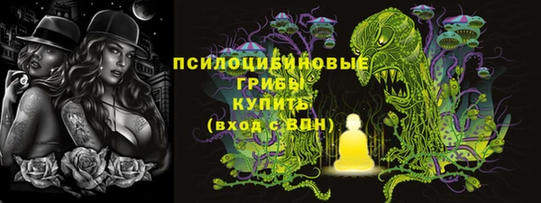 шишки Арсеньев