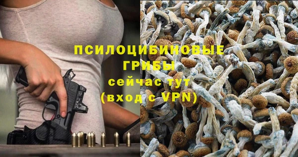 эйфоретик Армянск