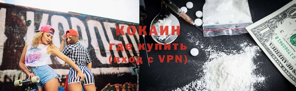 шишки Арсеньев