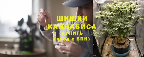 шишки Арсеньев