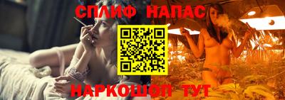 крисы Донской