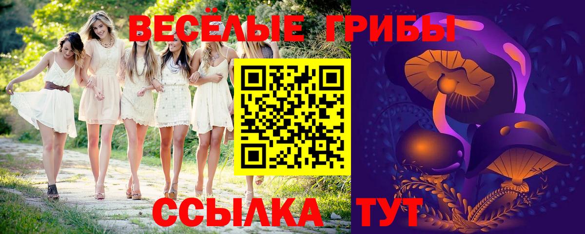 Галлюциногенные грибы GOLDEN TEACHER  Вход с VPN  Полысаево 